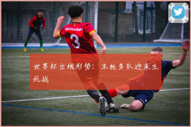 世界杯出线形势：末轮多队迎来生死战