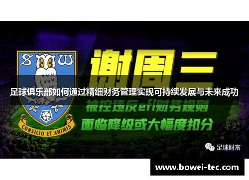 足球俱乐部如何通过精细财务管理实现可持续发展与未来成功