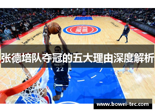 张德培队夺冠的五大理由深度解析